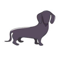 Dachshund Companion